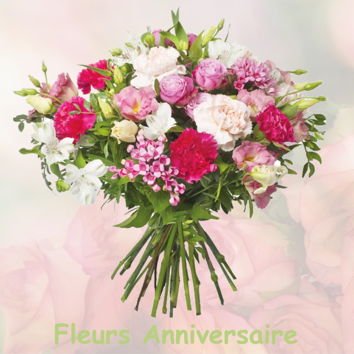 fleurs anniversaire VILLEZ-SOUS-BAILLEUL